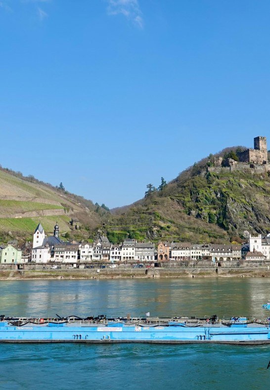 DSC03412 | &copy; AnyaFi