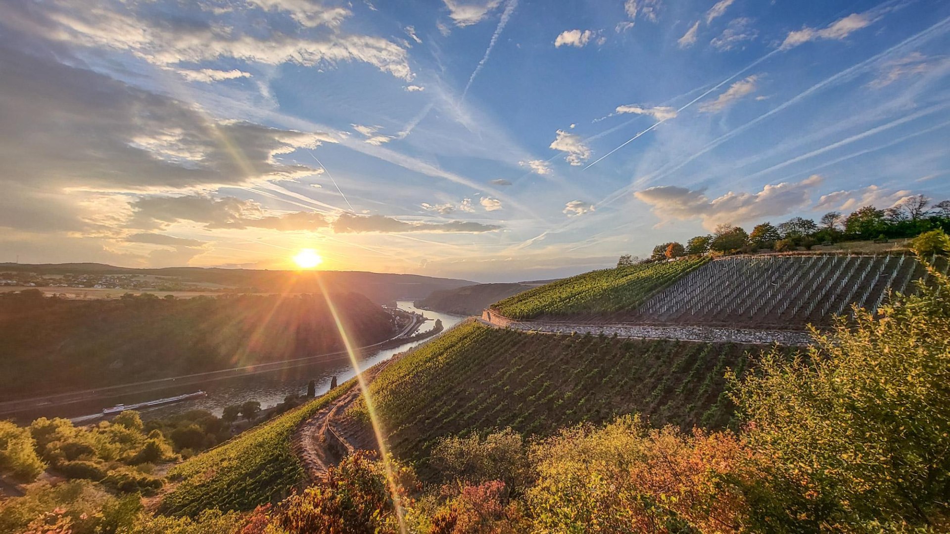 Weinberge Nochern | © Wolfgang Kromat