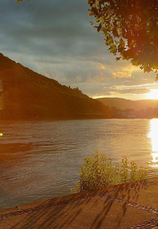 Riverside next to House Rheingl&uuml;ck | &copy; Heimes