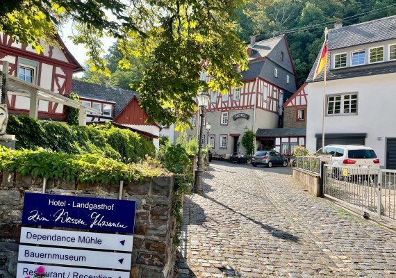 Wei&szlig;er Schwan1 | &copy; Sonja Herber