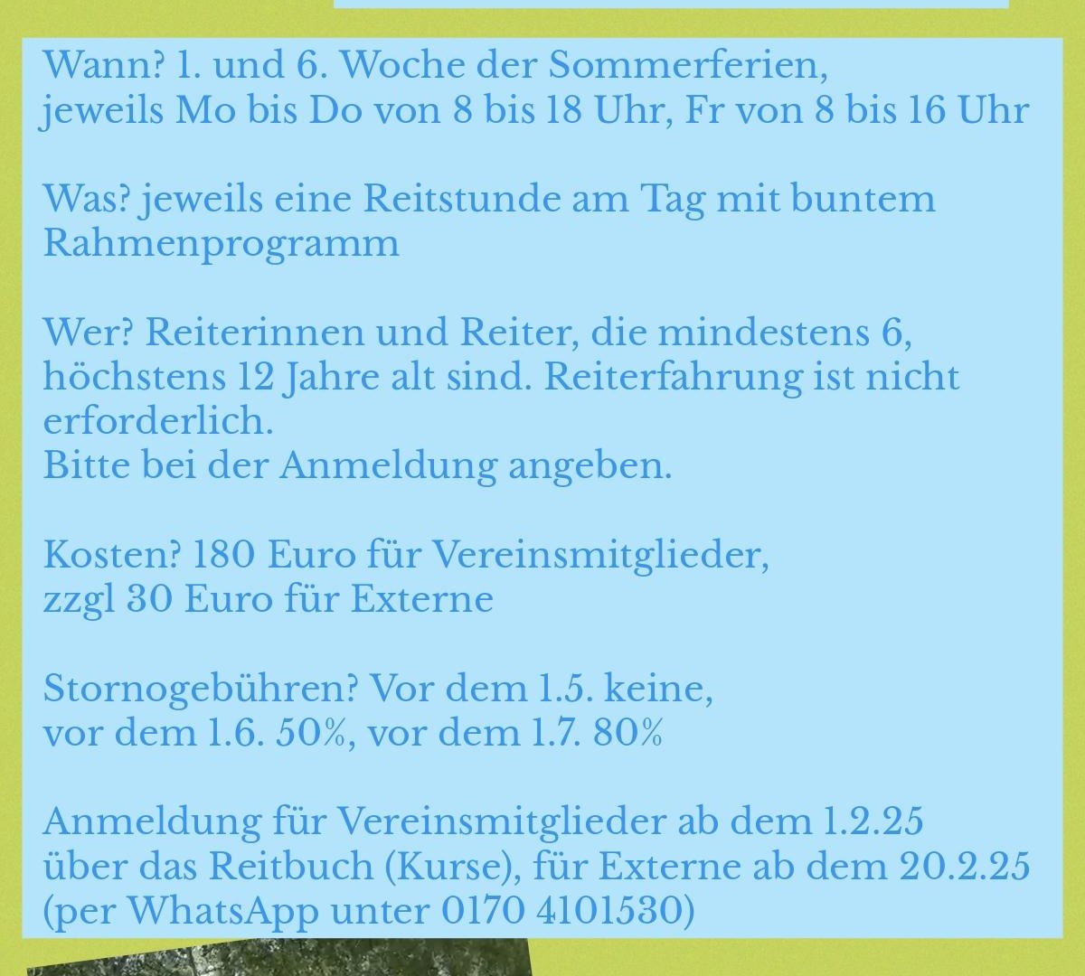 Ponyfreizeit 2025 | © Reiterverein Bissingen e.V.
