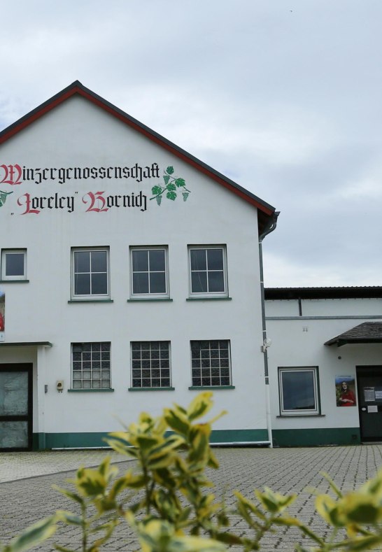 Winzergenossenschaft | © Quelle: Winzergenossenschaft Winzergenossenschaft | © Quelle: Winzergenossenschaft