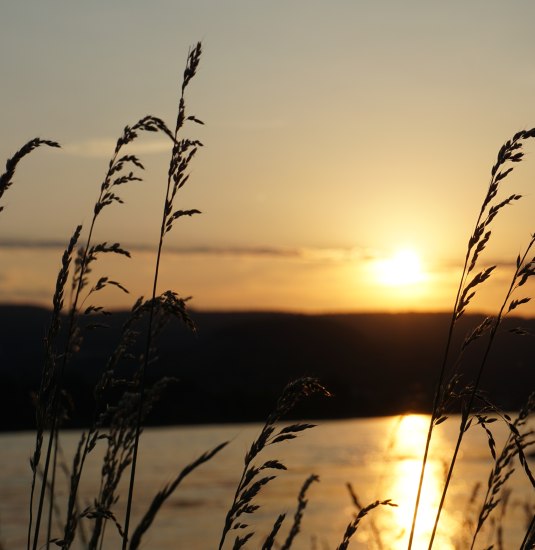 Sonnenuntergang am Rhein | &copy; Bastian Clos