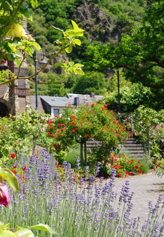 Rosengarten | &copy; Bastian Clos