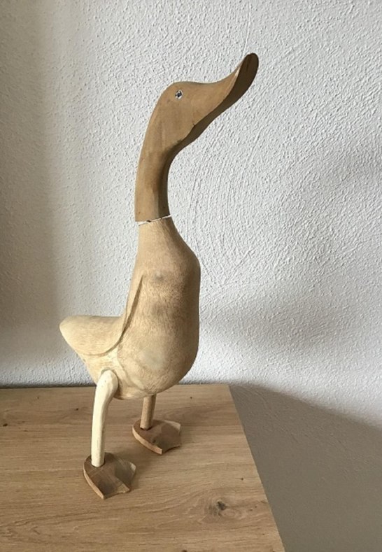 Dilli, die Ente | &copy; Dillenberger