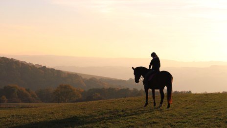 Pferd und Reiter | © Elvira Rogge