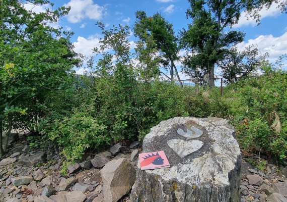 mit Buch | &copy; Ulrike Dallmann