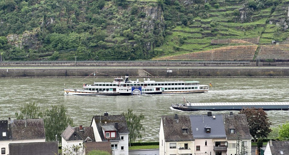 Goethe | &copy; Kipping