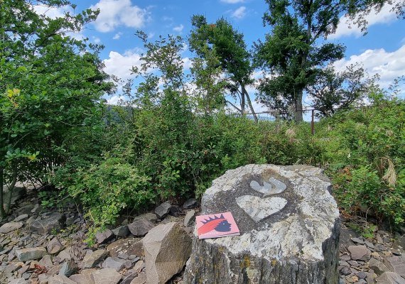 mit Buch | © Ulrike Dallmann mit Buch | © Ulrike Dallmann