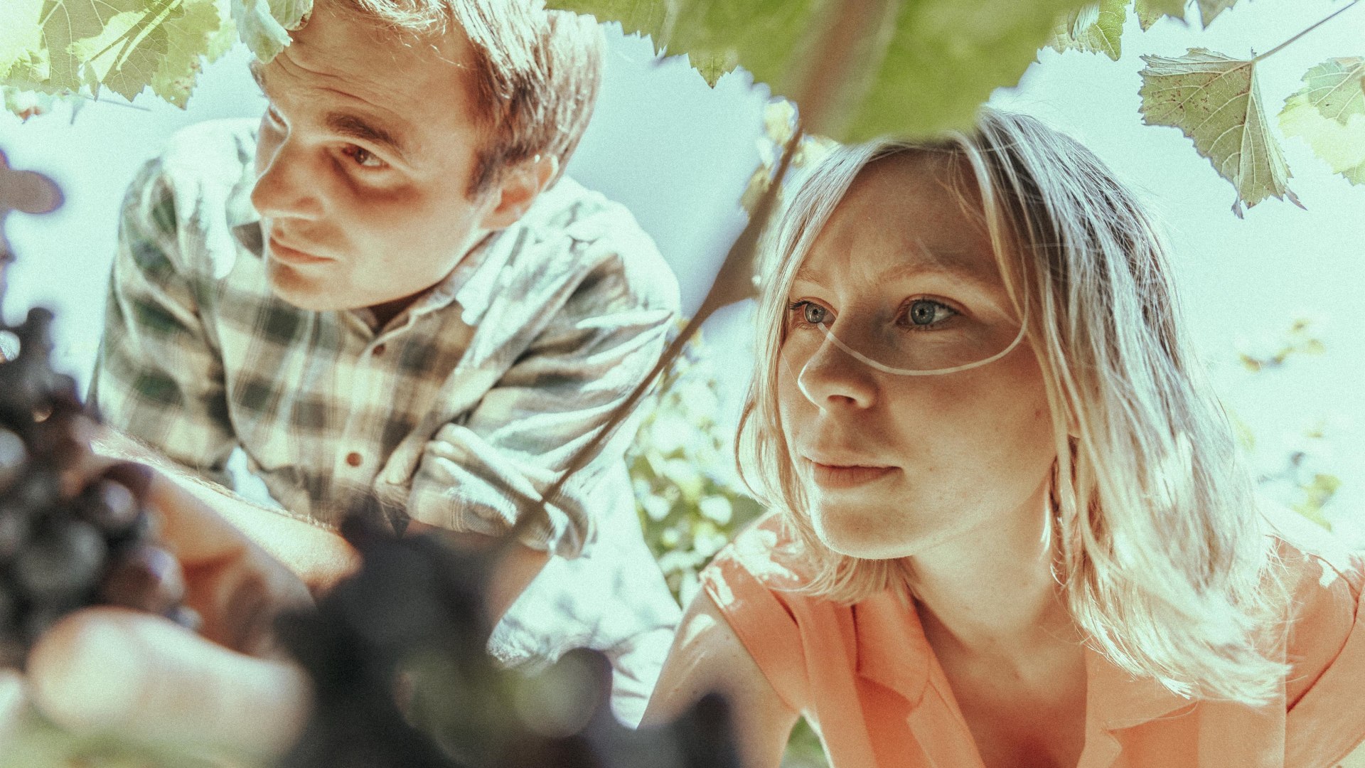 Heilemann | &copy; Weingut Heilemann