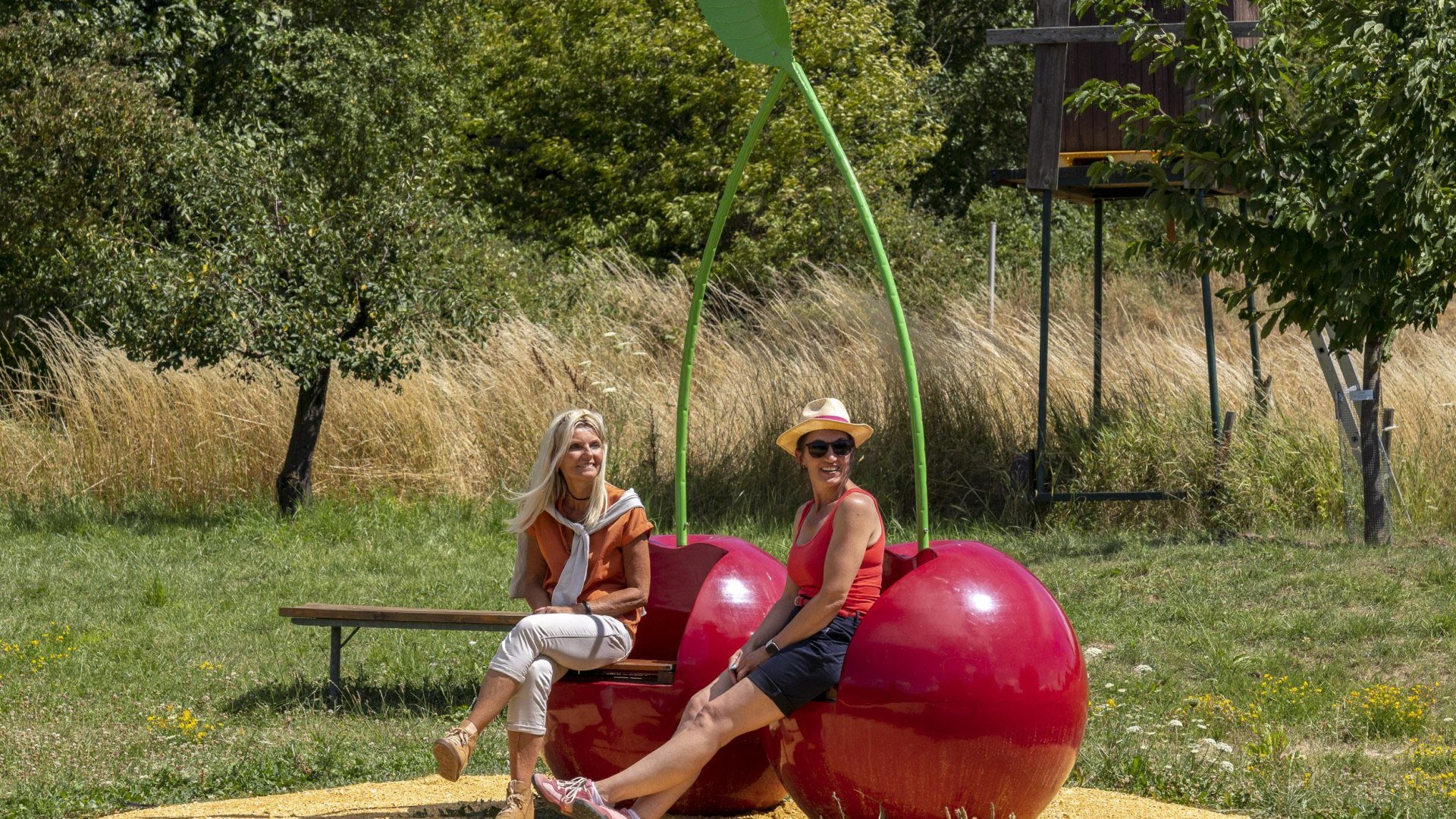 Kirschen am Kirschenpfad | © Katja S. Verhoeven Kirschen am Kirschenpfad | © Katja S. Verhoeven