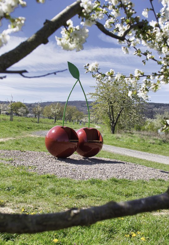 Kirschbl&uuml;te mit Kirschen | &copy; Sebastian Reifferscheid
