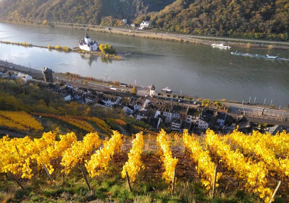 Weinberg | © Peter Bahles Weinberg | © Peter Bahles