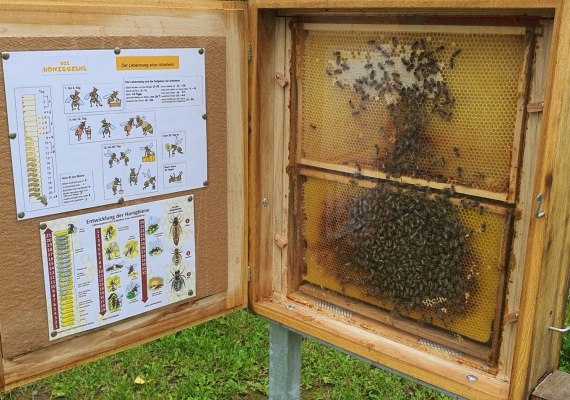 Imkerei Schneider | &copy; Stefanie Schneider