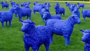 Blaue Friedensherde | © Blauschäferei Reetz