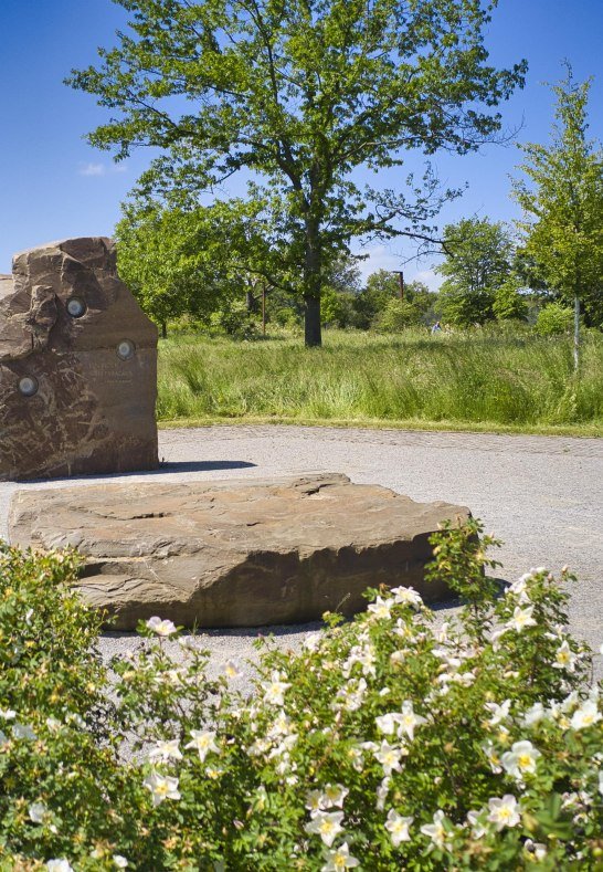 H&ouml;rfelsen | &copy; Sebastian Reifferscheid