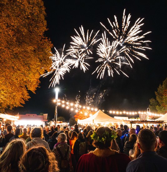 Winzerfest Rheinanlagen | &copy; Photo Pascal