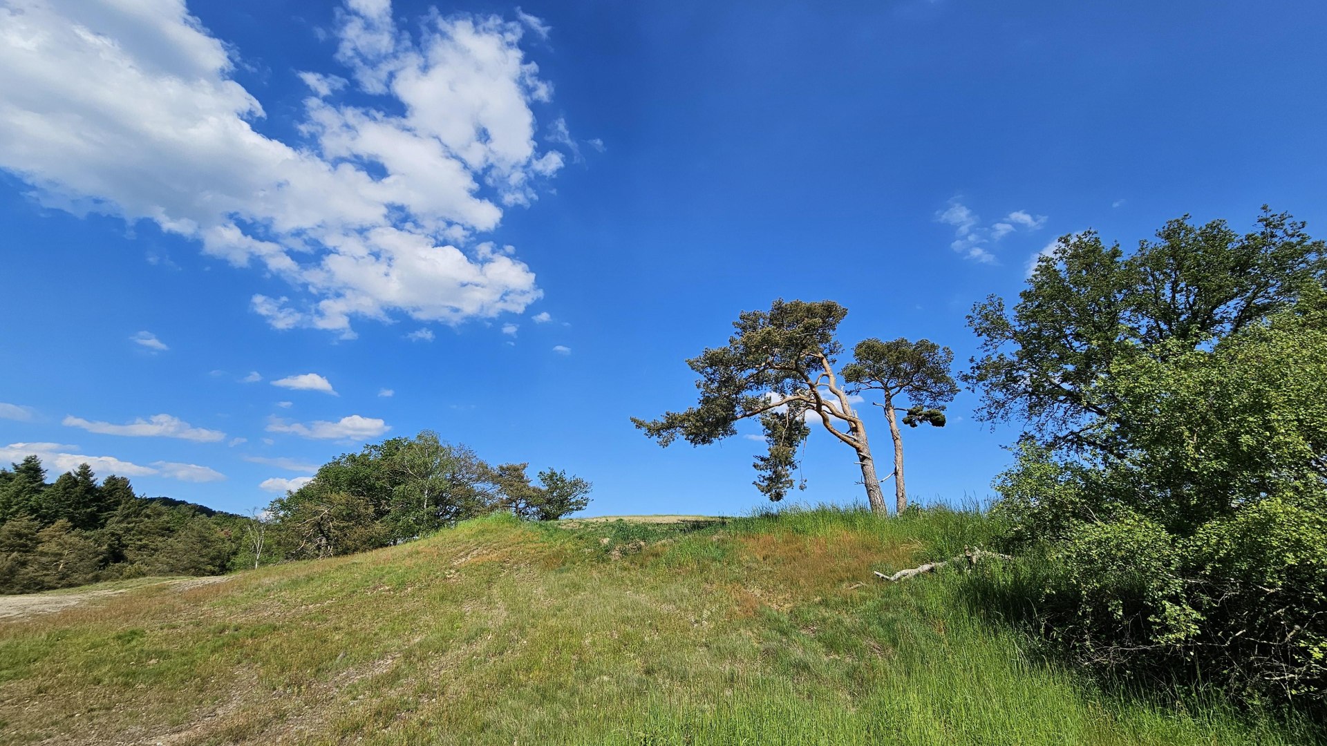 Rheinsteig | © Ulrike Dallmann