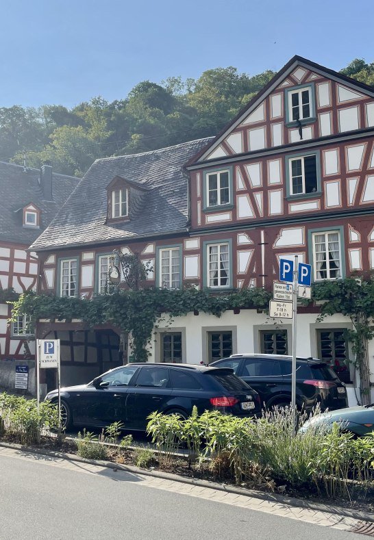 weißer Schwan2 | © Sonja Herber weißer Schwan2 | © Sonja Herber