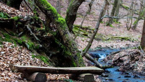 Pulsbachklamm | &copy; Joachim Hewel