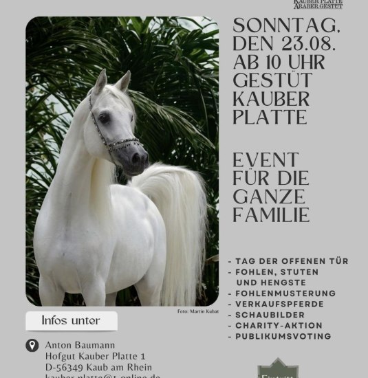 Kauber Platte | &copy; Kauber Platte