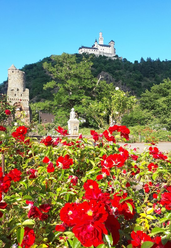 Sommer | © Katharina Schattner/Romantischer Rhein Tourismus GmbH