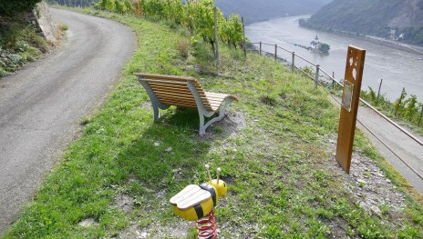 Rheinsteig Erleben - Kaub | &copy; Armin Schaust