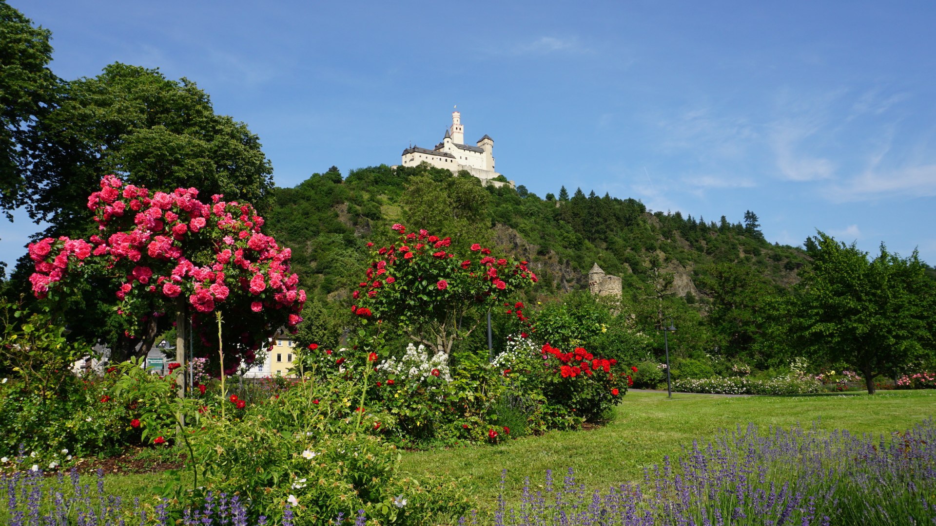 Rheinanlagen mit Blick auf die Marksburg | © Bastian Clos