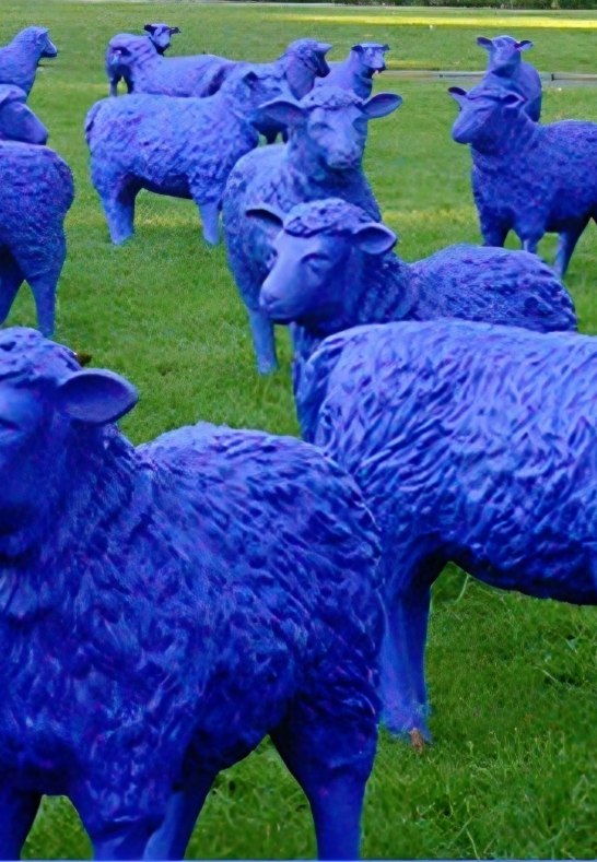 Blaue Friedensherde | &copy; Blausch&auml;ferei Reetz