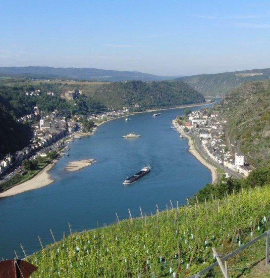 Weinterrassen-Wanderung_01 | © Friedel Becker