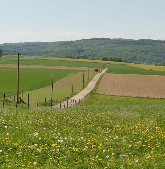 Wanderweg | © Armin Schaust Wanderweg | © Armin Schaust