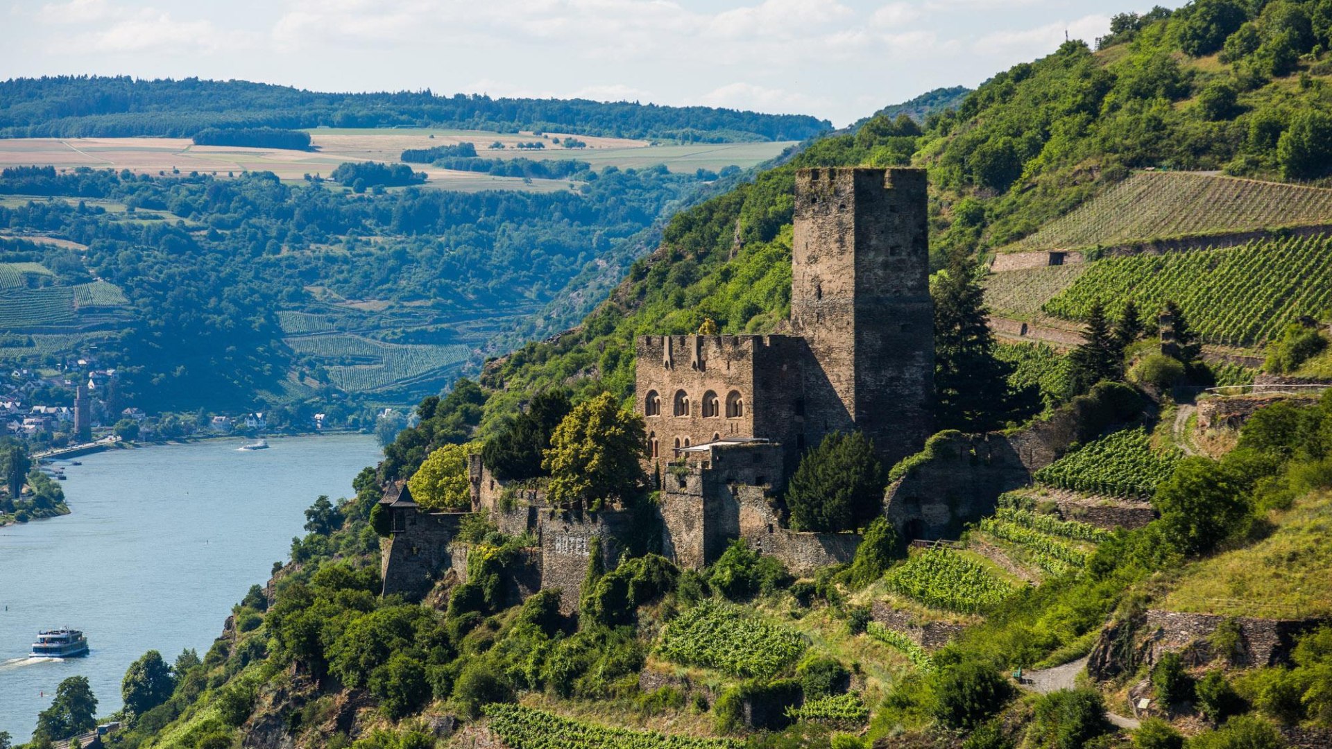 Burg Gutenfels inmitten der Weinberge | © Henry Tornow/Romantischer Rhein Tourismus GmbH