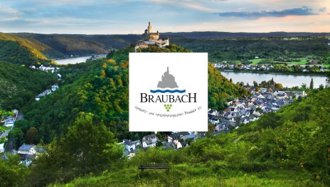 Verkehrs-und Versch&ouml;nerungsverein_Logo