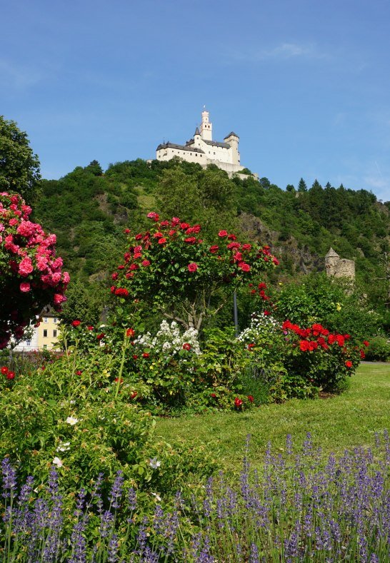 Rheinanlagen mit Blick auf die Marksburg | © Bastian Clos