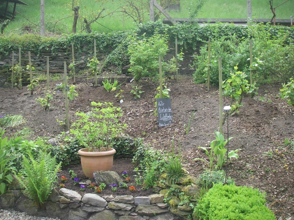 Neubeflanzung | &copy; Landgasthof Zum weissen Schwanen