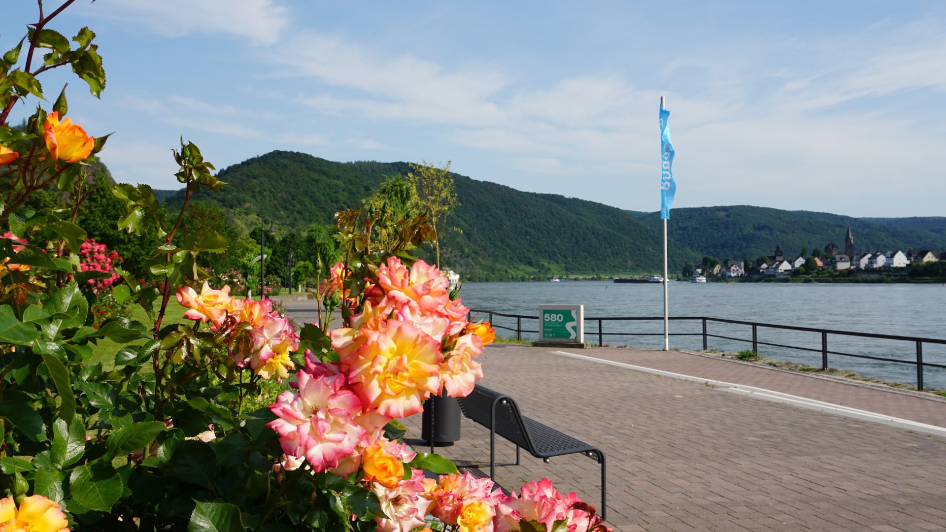 Rosen in den Rheinanlagen | &copy; Bastian Clos