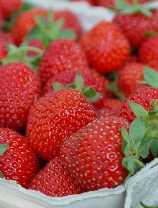 Erdbeeren | &copy; Pixabay