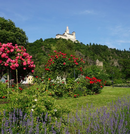 Rheinanlagen mit Blick auf die Marksburg | © Bastian Clos