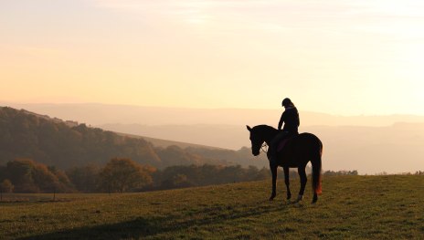 Pferd und Reiter | &copy; Elvira Rogge