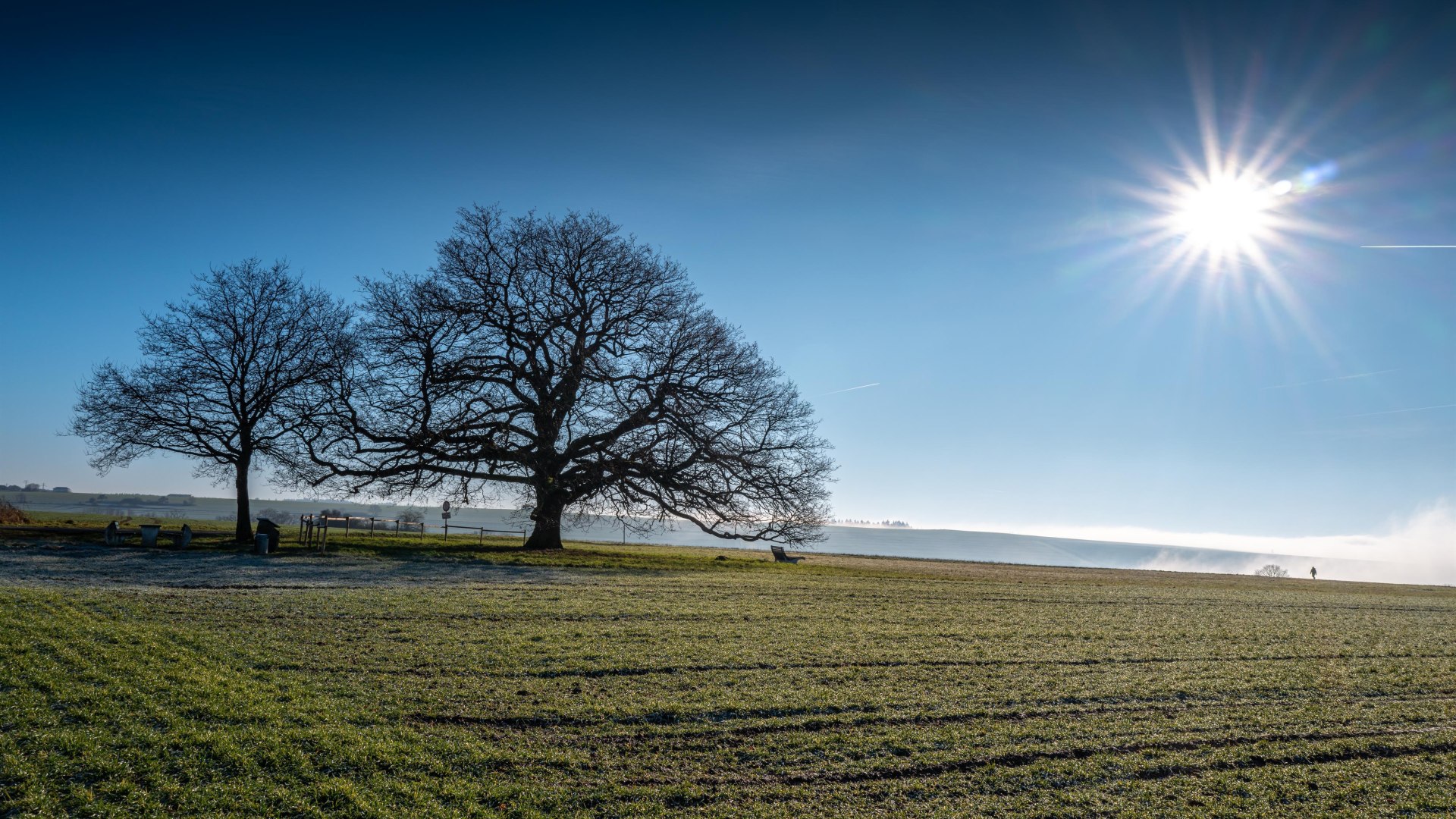 Adolfseiche | &copy; Klaus Breitkreutz