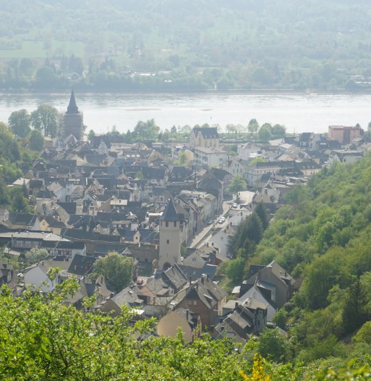 Blick auf Braubach | &copy; Bastian Clos