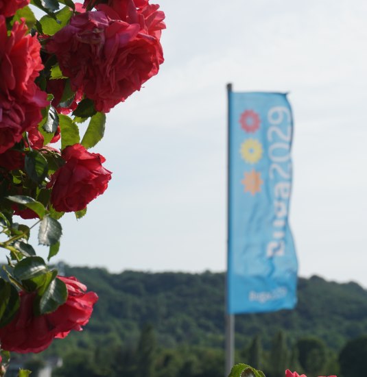 Buga2029 Fahne | &copy; Bastian Clos