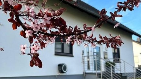 Hausansicht | &copy; Rummel